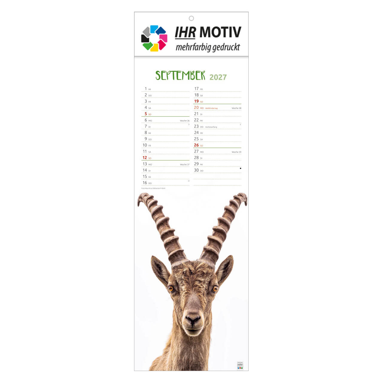 /customers_pics/593/artikel/1112115267/Einfach tierisch_2027_Ihr Motiv_179-2027_IhreWerbung-a_9.jpg